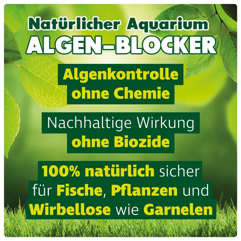Natürlicher Algen-Blocker für Ihr Aquarium: Info 1
