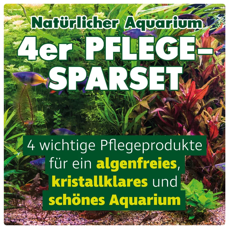 Natürliches 4er Pflegeset für Ihr Aquarium: Info 1