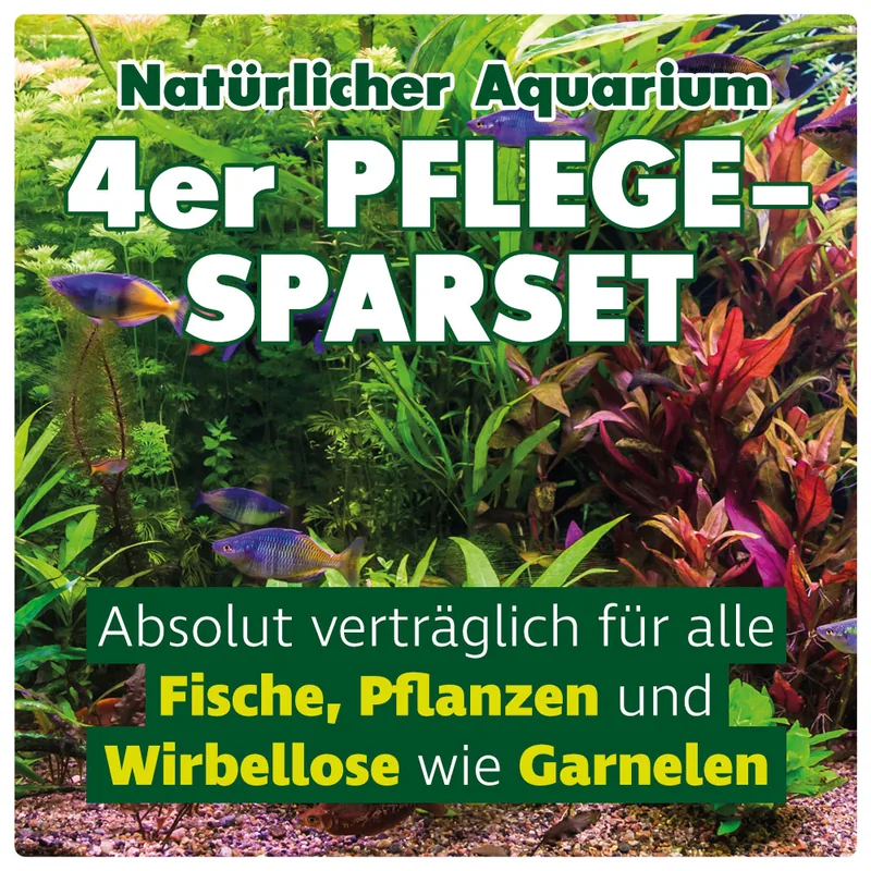 Natürliches 4er Pflegeset für Ihr Aquarium: Info 2